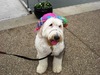 /images/events/12/Genevieve at the boat dock-thumb.JPG